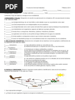 Prueba Materia y Energía en El Ecosistema - 7°básico - Fernanda Fuentes