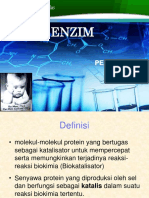 ENZIM FUNGSI