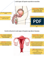 Maria Fernanda 8vo Tarea