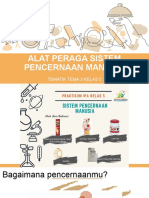 Sistem Pencernaan Manusia