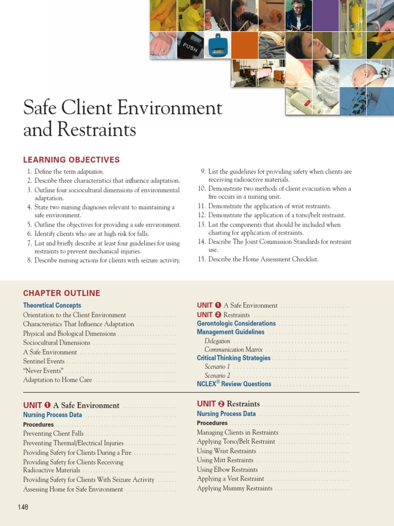 Safe Client Environment and Restraints PDF Perception Joint