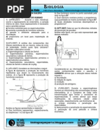 Respostas Da Galera Sistema Reprodutor Humano