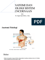 Materi Anatomi Dan Fisiologi Sistem Pencernaan KLS X