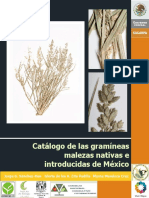 Catalogo Malezas Gramineas