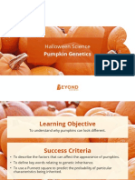 Pumpkin Genetics PowerPoint