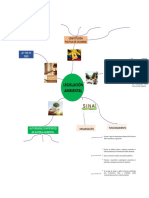 Mapa Mental Legislacion Especial