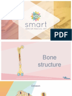 PPT-Struktur-Tulang