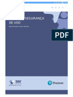 Bases de Segurança de Voo