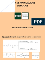 Tema 12 Aminoácidos Ejercicios: Jose Luis Garrido Lara