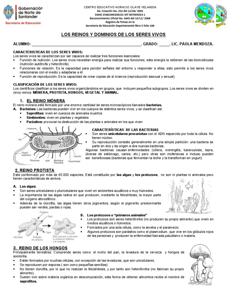 Los Reinos Y Dominios de Los Seres Vivos | PDF | Plantas | Algas
