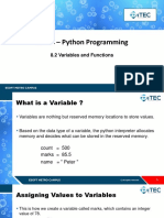 Python Variables and Functions