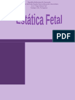 Estatica Fetal