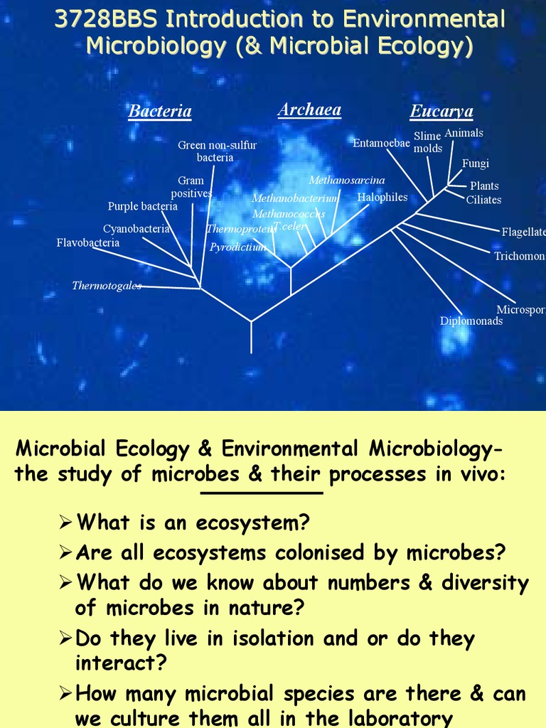Microbial Ecology Biomass (Ecology)