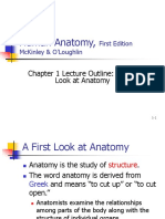 TM 1-2-3 Anatomi & Fisiologi Terapan