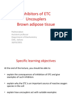 Inhibitors of ETC, Uncouplers, and Brown Adipose Tissue Role