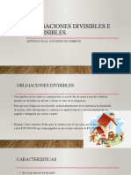 Obligaciones Divisibles e Indivisibles