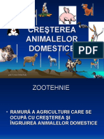Cresterea_animale_domestice
