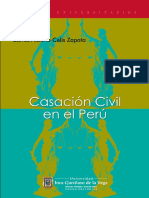 Casacion Civil en El Peru