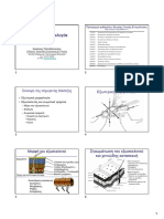 Neral - Entomology Revised