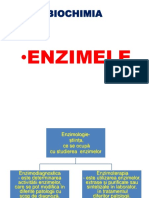 enzimele-49393-49393