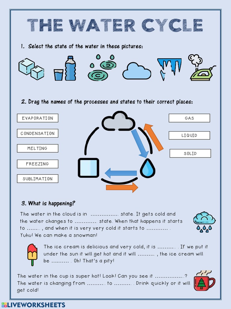 Water Cycle for Young Learners | PDF | Science & Mathematics