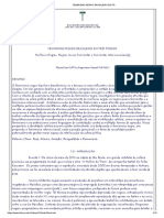 Feminismo Brasileiro Negro em Tres Tempos