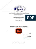 Adobe Flash