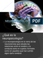 Neuropsicologa 5