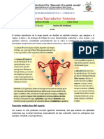 Plan de Mejoramiento Sist Repr Femenino