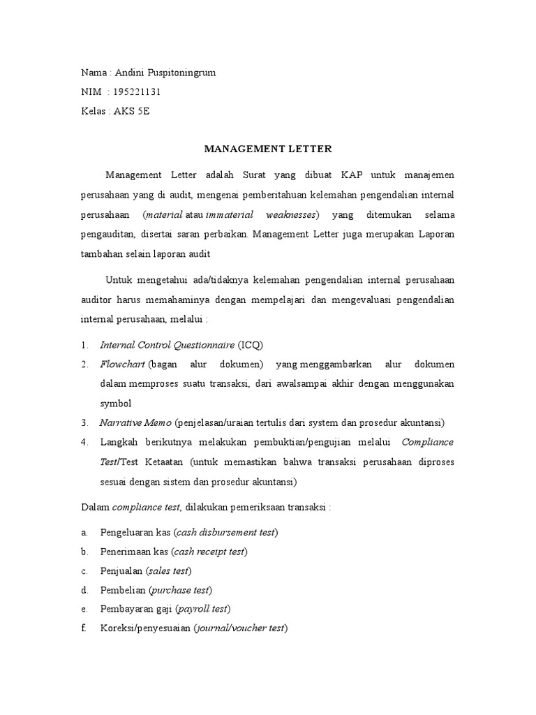 Panduan Menyusun Management Letter | PDF