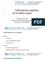 Taller Estimulación Cognitiva Sesión 1