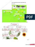 5 BIO-9-II-br - cas-48-Dihotomni-klucevi-I-grupa-NASTAVNO-LIVCE-1