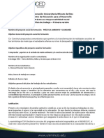 Plan de Trabajo Del Estudiante Manuel Varon 352222 - 2021-2