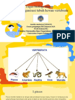 Amelia Anatasya - Struktur Organisasi Tubuh Hewan Vertebrata