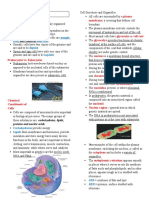 Cells: Somatic Cells Body Cells