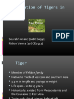 Conservation of Tigers In