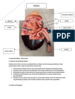 GINJAL] Fungsi dan Bagian-bagian Ginjal