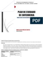 Procesos de Enfermeri Formatos