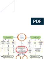 Mapa Conceptual Plantilla 09