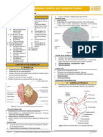 2023.Neuroscience.trans11.PosteriorFossaLevelCerebellar Vestibular and Auditory System