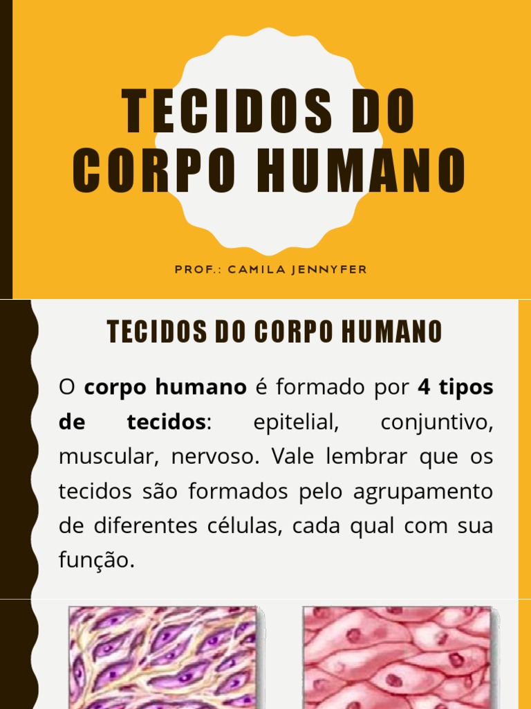Tecidos Do Corpo Humano | PDF | Epitélio | Tecido (Biologia), image size:768x1024
