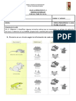 ANIMALES EN PELIGRO DE EXTINCIÓN DE CHILE