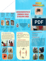 Leaflet Chikungunya 2012