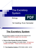 The Excretory System: Biology 1st Meeting-Even Semester