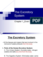 The Excretory System: Chapter 1 - Even Semester