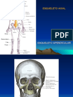 Sistema Osteomuscular 5