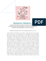 Relatório Módulo 3 Doula