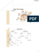 Fisiologi Neurology