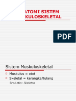 Anatomi Sistem Muskuloskeletal