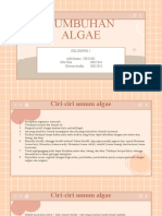 Taktum Algae - Kel 1